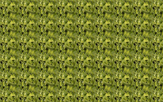 693611 (a): :1920x1200